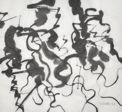 141201のドローイング