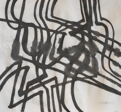 150109のドローイング