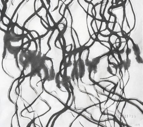 150117のドローイング