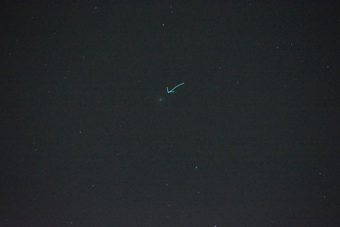 ラブジョイ彗星