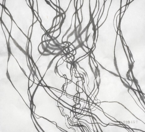 150204のドローイング