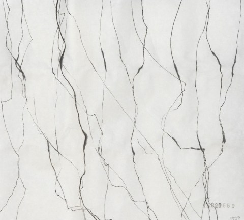 150206のドローイング