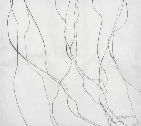 150212のドローイング