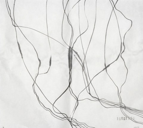 150215のドローイング