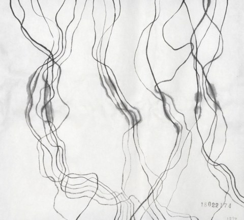 510221のドローイング