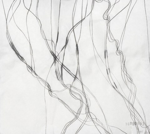 150228のドローイング