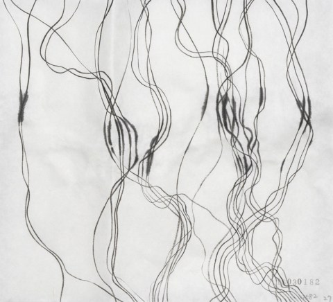 150301のドローイング