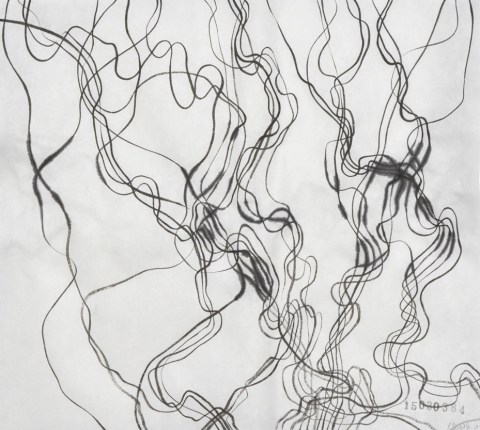 150303のドローイング