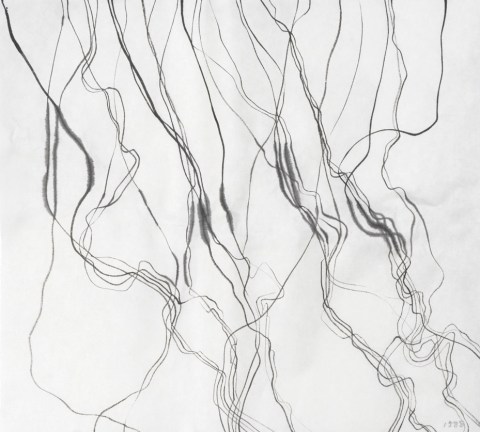 150307のドローイング