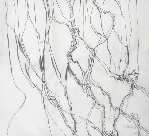 150308のドローイング