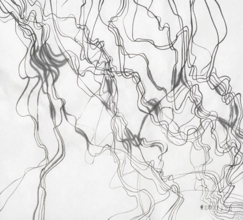 150311のドローイング