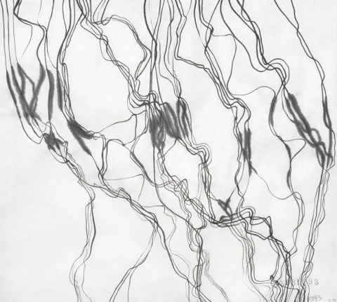 150312のドローイング