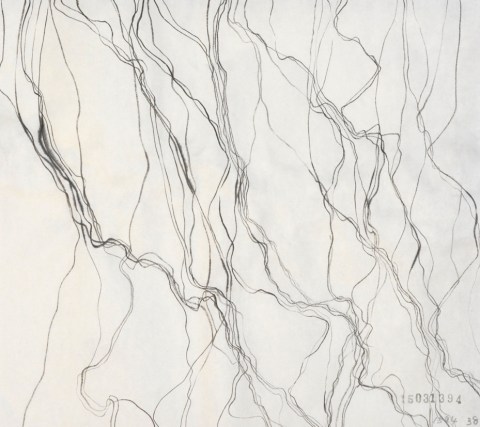 150313のドローイング