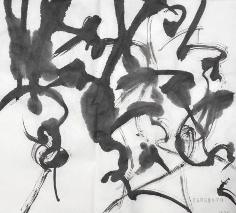 150528のドローイング