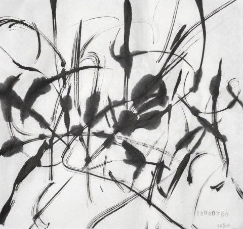 150607のドローイング