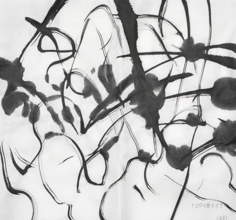 150608のドローイング