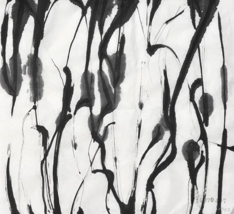 150704のドローイング