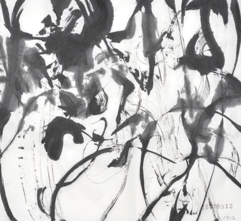 150709のドローイング