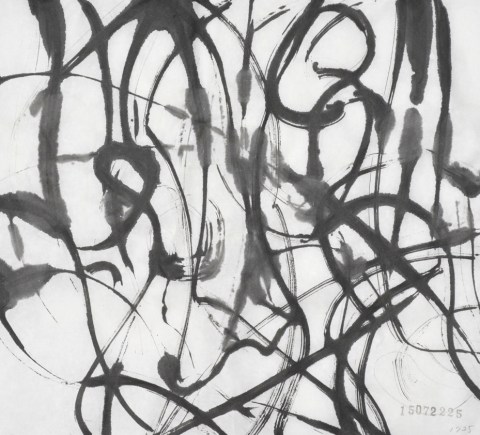 150722のドローイング