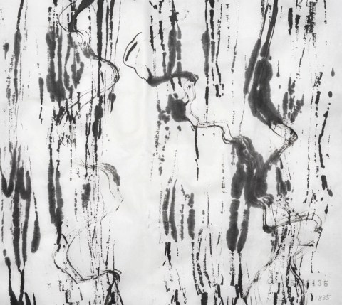 151111のドローイング