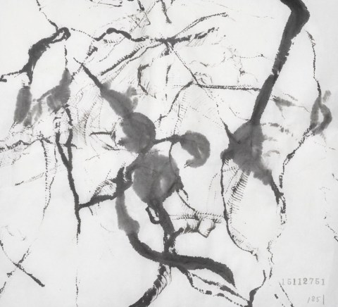 151127のドローイング