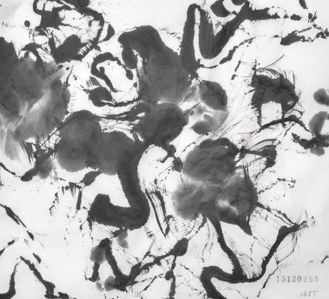 151202のドローイング