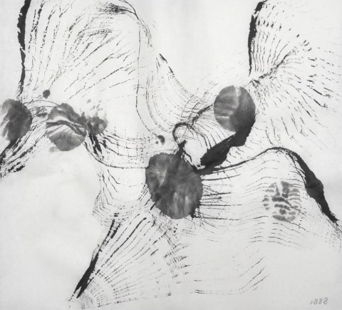 160104のドローイング