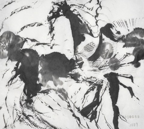 160105のドローイング