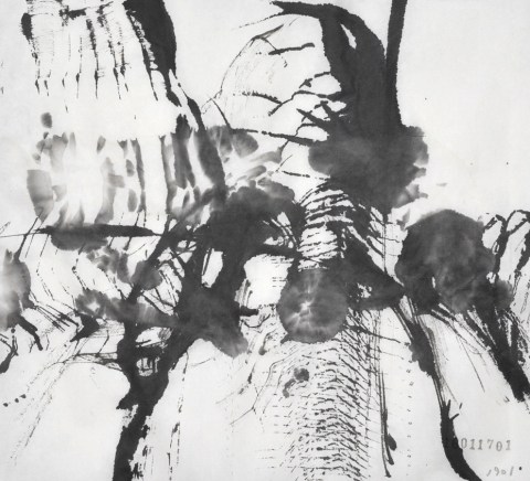 160117のドローイング