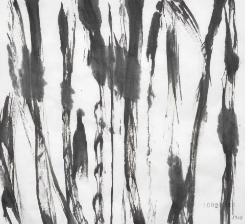 160213のドローイング