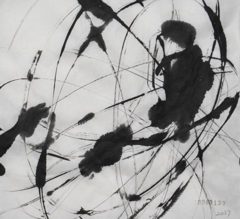 160601のドローイング