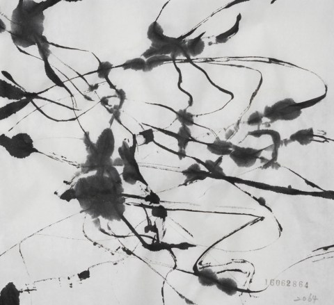 160628のドローイング