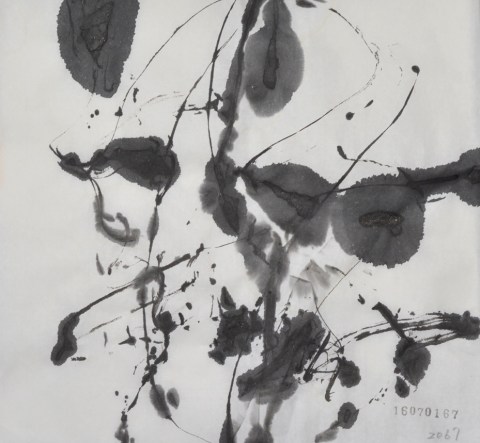 160701のドローイング