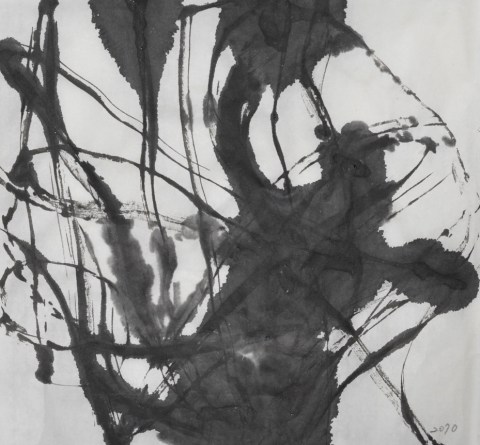 160704のドローイング