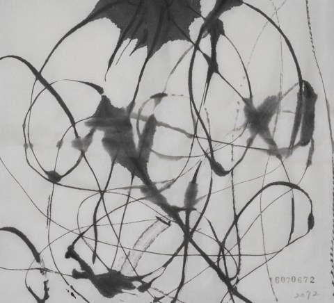 160706のドローイング