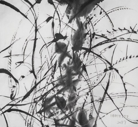 160711のドローイング