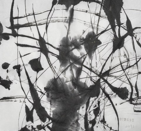 160725のドローイング