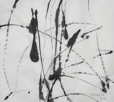 160801のドローイング