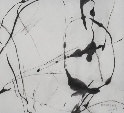 160806のドローイング