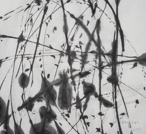 160810のドローイング