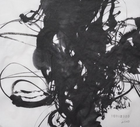 160823のドローイング