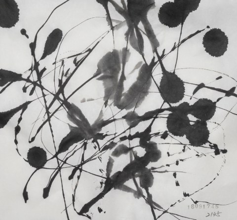 160917のドローイング