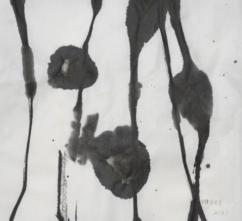 161003のドローイング