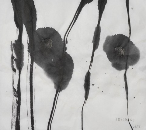 161005のドローイング