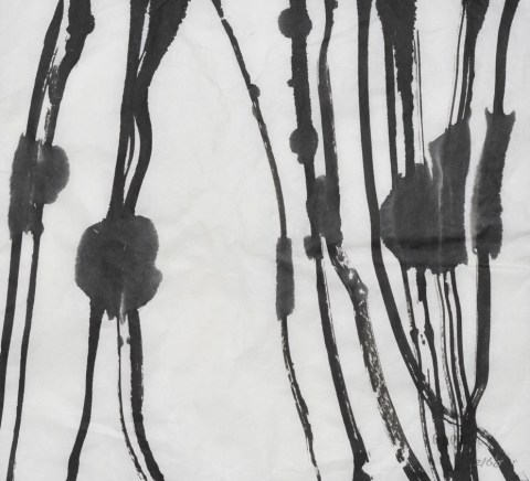 161010のドローイング