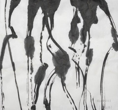 161023のドローイング