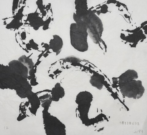 161104のドローイング