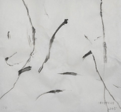 161226のドローイング