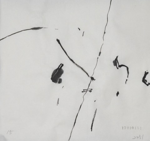 170101のドローイング