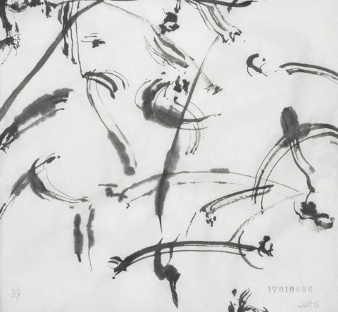 170106のドローイング